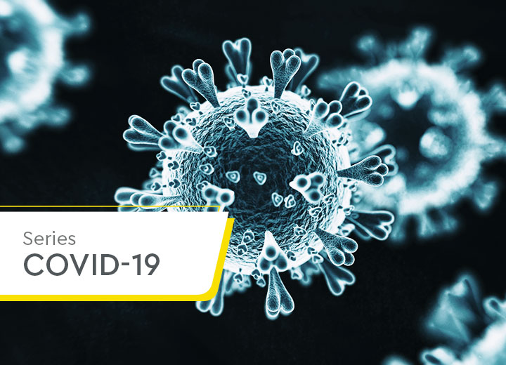 Coronavirus and public law: administrative instruments to tackle the pandemic