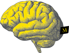 cerebro mmso