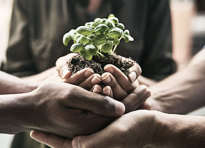 Environmental aspects of the new Bidding