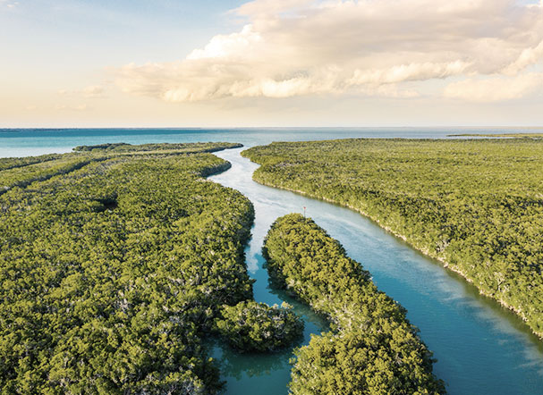 New procurement law emphasizes environmental issues