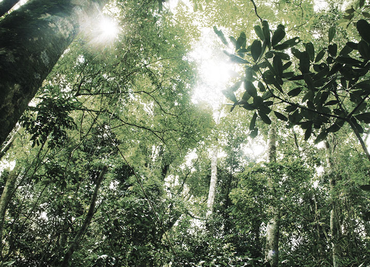 New rules for conversion of environmental fines