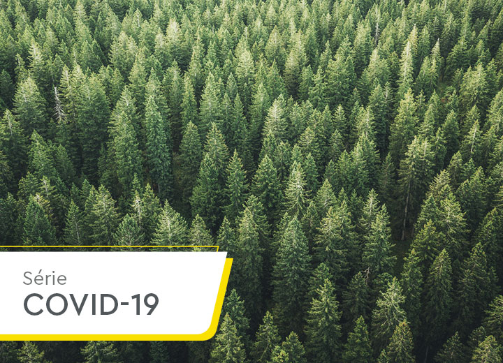 Covid-19: environmental agencies suspend procedural deadlines and offer remote services