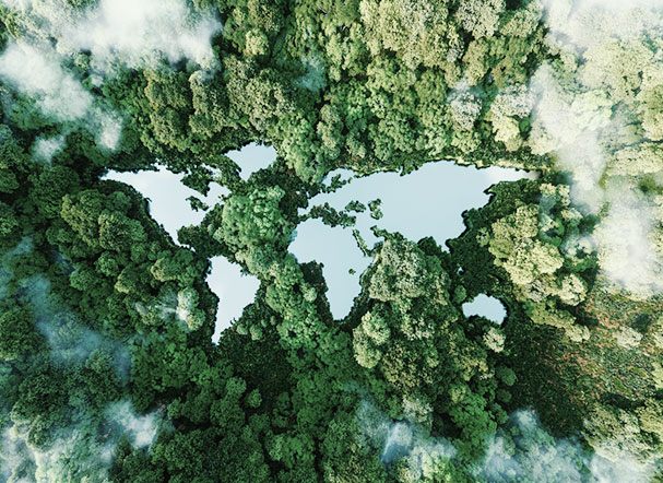What changes with the law that regulates the carbon market