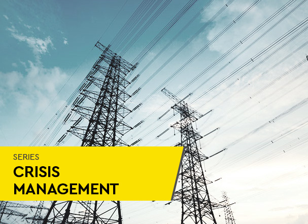 Crisis management in the electricity industry