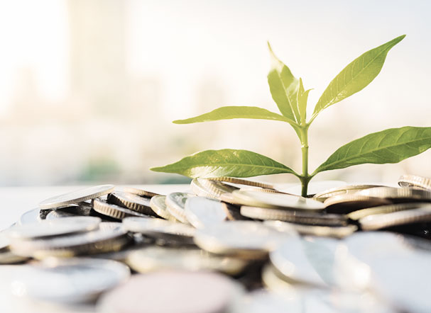 Economia verde ganha força com criação de secretaria