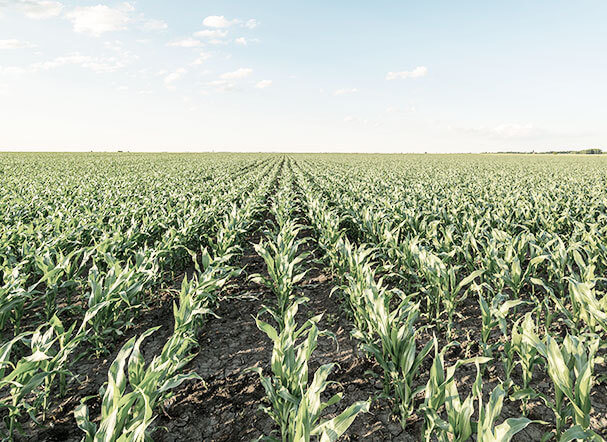 CCIR 2022 issue now available