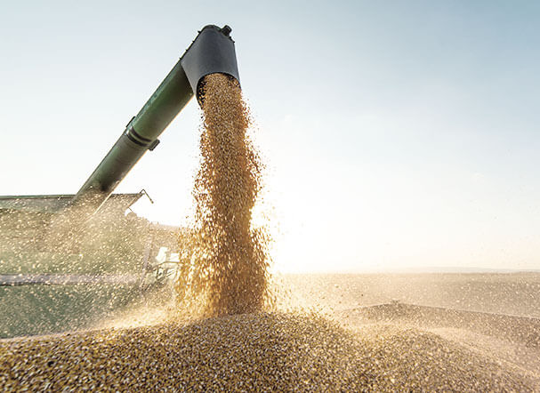 Agribusiness funding: regulation of the Green CPR