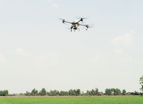 Visão inferior de drone sobrevoando área agrícola