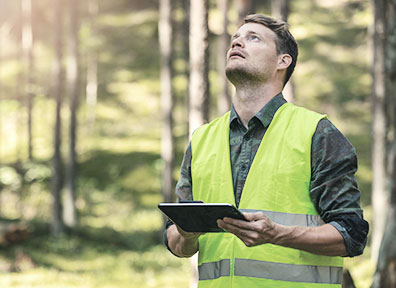 New decree regulates environmental compensation for licensing in SP and establishes powers of the Environmental Clearing Chamber