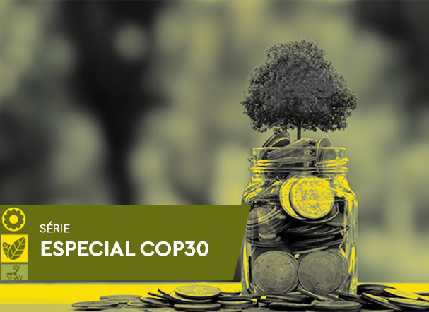 O Brasil e a expansão do mercado de carbono