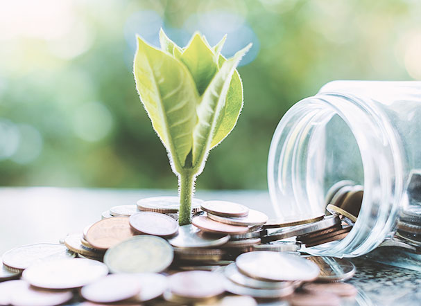 Padronização da divulgação contábil de ativos de sustentabilidade