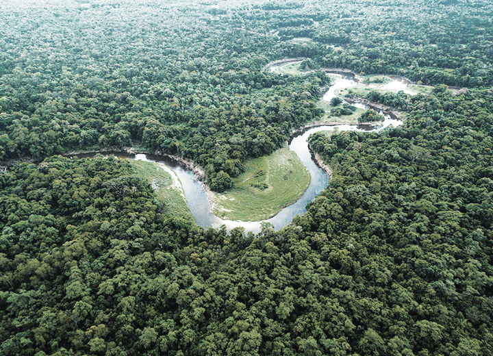 "Forest + Program" - The first step towards the implementation of PSA