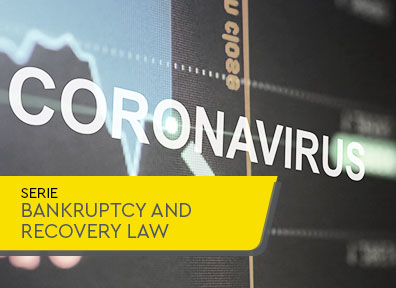Covid-19 and LFR: an analysis of the measures approved by the House in Bill 1,397/20