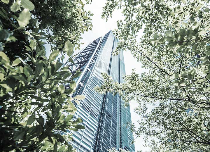 STF recognizes the general repercussion of appeal on the statute of limitations for civil compensation for environmental damage