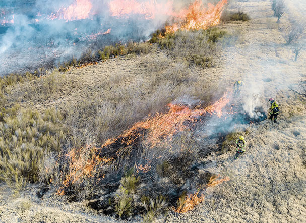Superior Court of Justice publishes new precedent on State’s civil liability for environmental damages